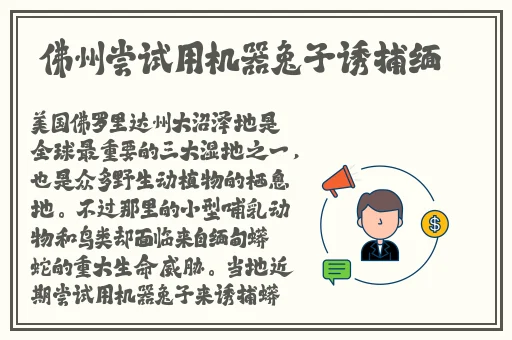 蘑菇官方网站登录入口手机版